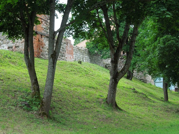 Лето в Литве.   Мой 