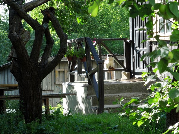 Лето в Литве.   Мой 