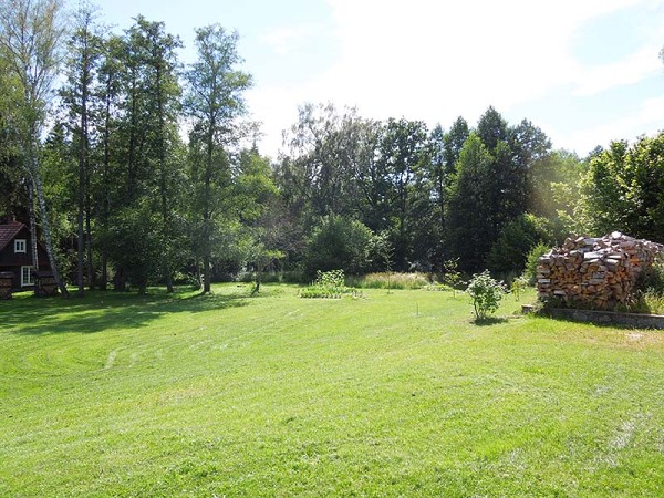 Лето в Литве.   Мой 