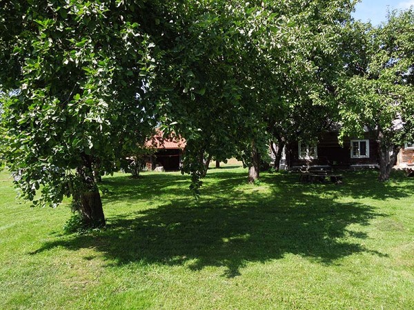 Лето в Литве.   Мой 