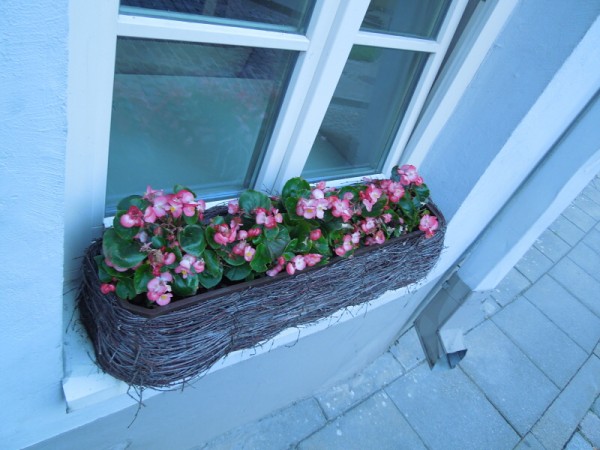 Лето в Литве.   Мой 