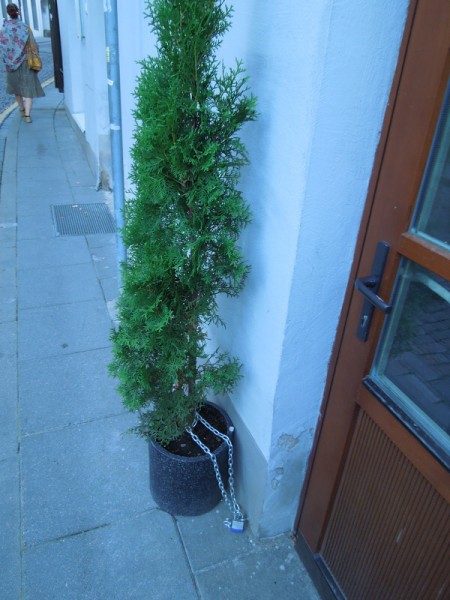 Лето в Литве.   Мой 