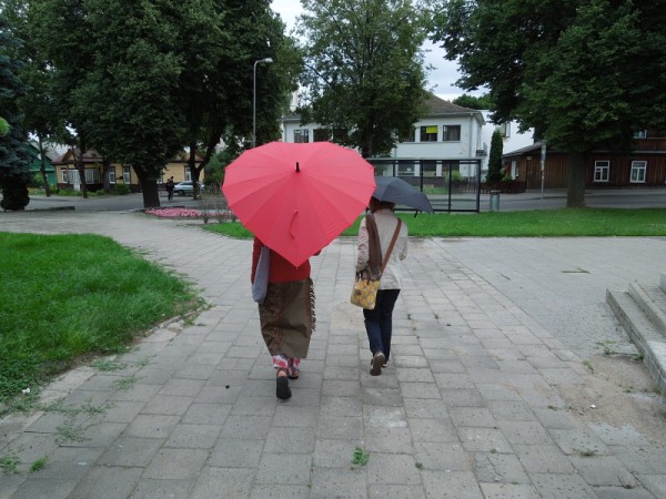 Лето в Литве.   Мой 