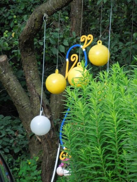 Лето в Литве.   Мой 