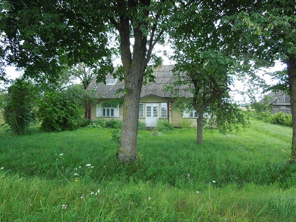 Лето в Литве.   Мой 