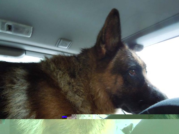 Лето в Литве.   Мой 