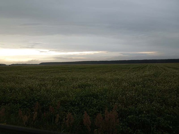 Лето в Литве.   Мой 