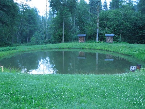 Лето в Литве.   Мой 