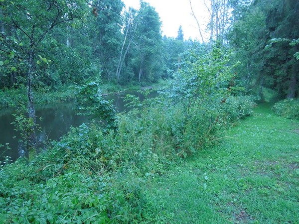 Лето в Литве.   Мой 