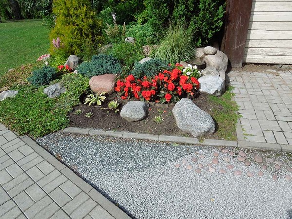 Лето в Литве.   Мой 