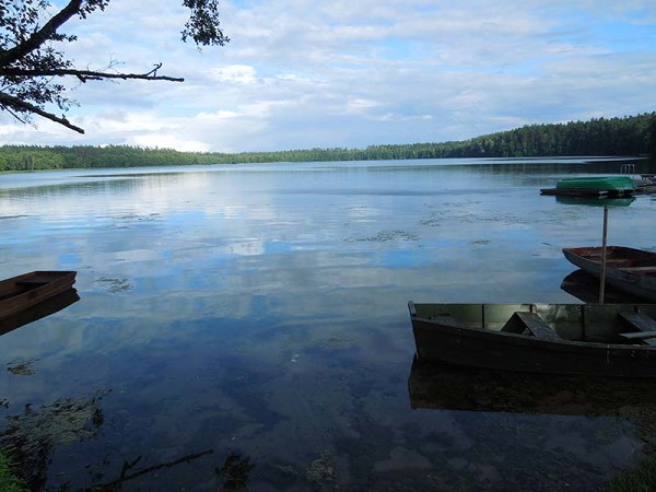 Лето в Литве.   Мой 