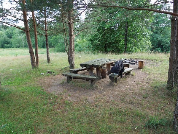 Лето в Литве.   Мой 