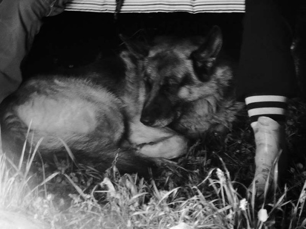 Лето в Литве.   Мой 