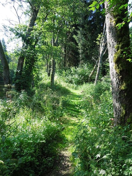 Лето в Литве.   Мой 