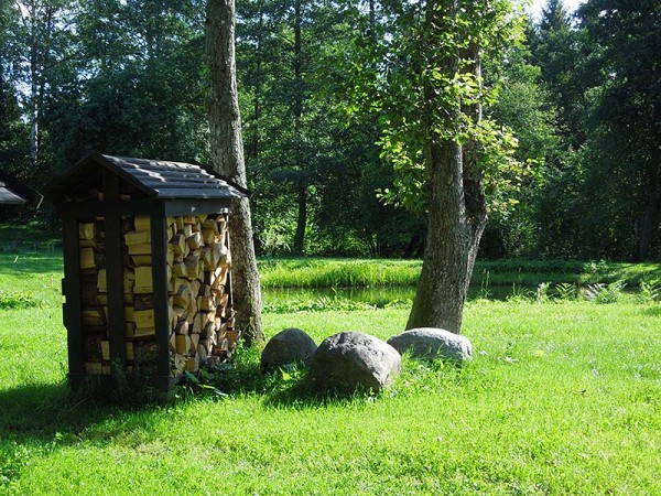 Лето в Литве.   Мой 