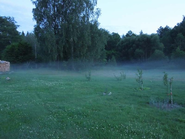 Лето в Литве.   Мой 