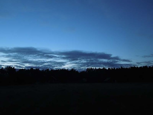 Лето в Литве.   Мой 