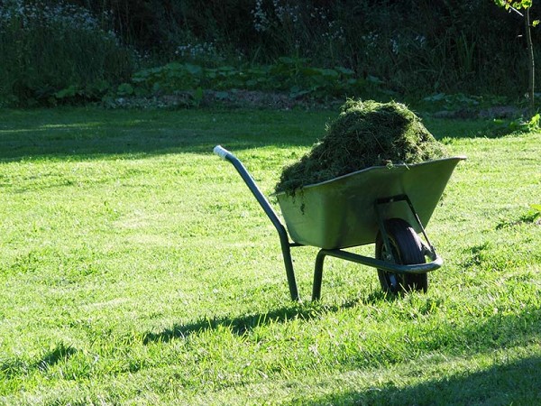 Лето в Литве.   Мой 