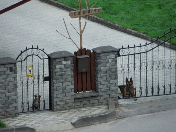 Лето в Литве.   Мой 