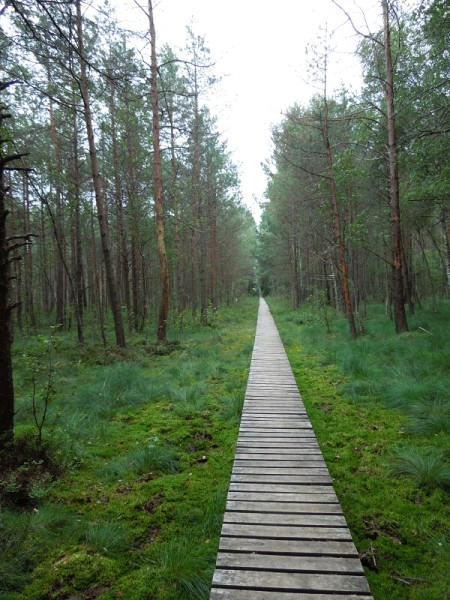 Лето в Литве.   Мой 