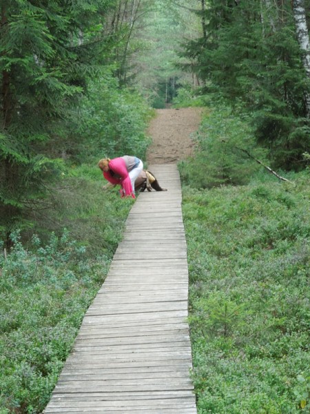 Лето в Литве.   Мой 