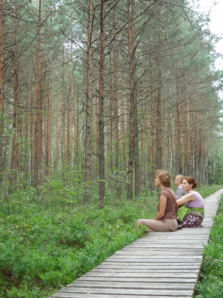 Лето в Литве.   Мой 