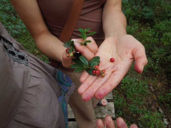 Лето в Литве.   Мой 