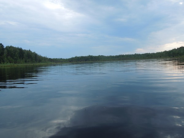 Лето в Литве.   Мой 